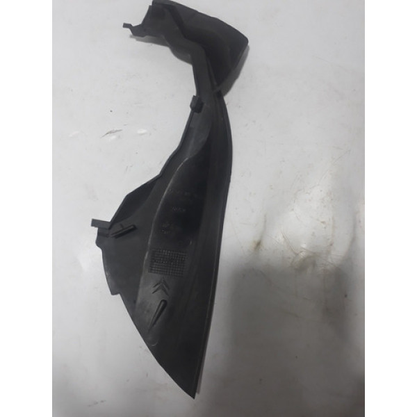 Acabamento Churrasqueira L.d.esquerdo C4 2006 Cx144