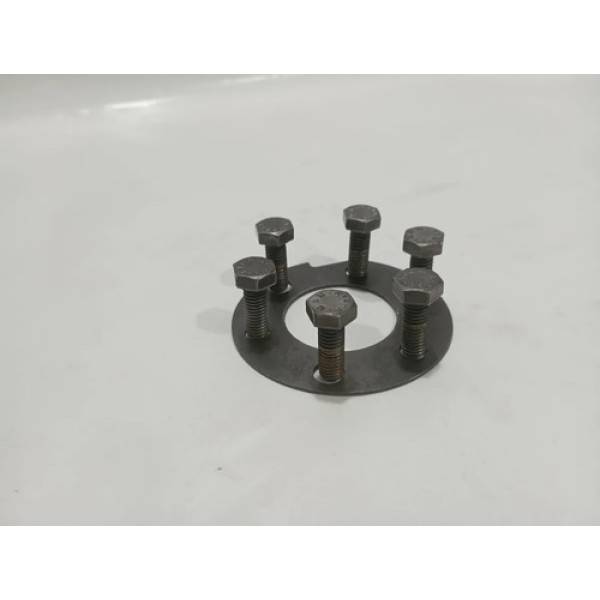 Parafuso Volante Motor Fiat Palio 1.0 8v Fire 2010 Cx402