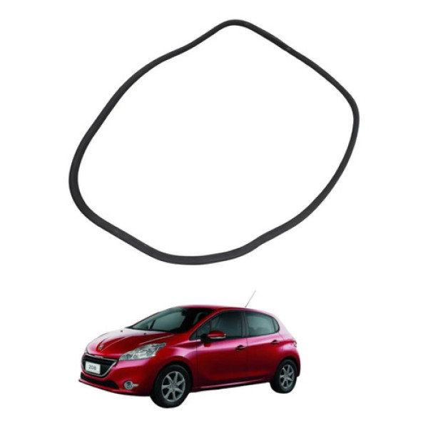 Borracha Porta Traseira Esquerda Peugeot 208 2015 2019