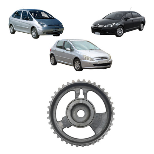 Polia Comando Válvulas 307 C4 Picasso 2.0 2002/14 Cx313