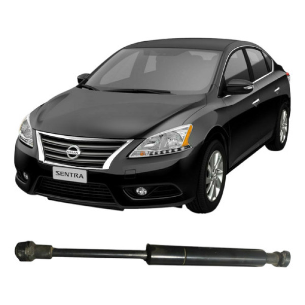 Amortecedor Molas Porta Malas Sentra 2.0 2012 Cx173