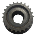 Engrenagem Virabrequim Chevrolet Astra 99/11 Cx401