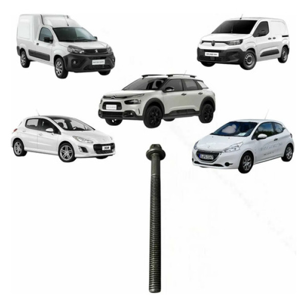 Jogo Parafuso Cabeçote Peugeot Citroen 1.6 16v 2012/16 Cx397