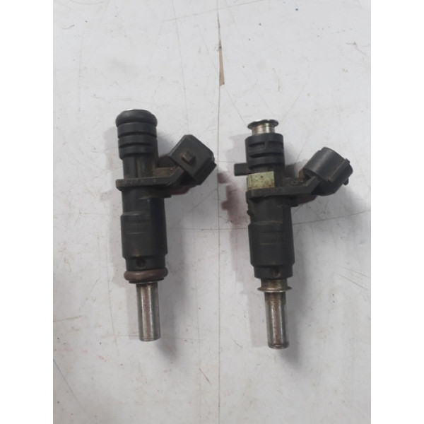 Bico Injetor Logan  Sandeiro  Kwid  3cc 166003188r Cx197