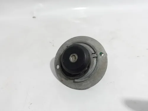 Miolo Chave Porta Dianteira Esq Ford Ka 2010/2013 Cx 431